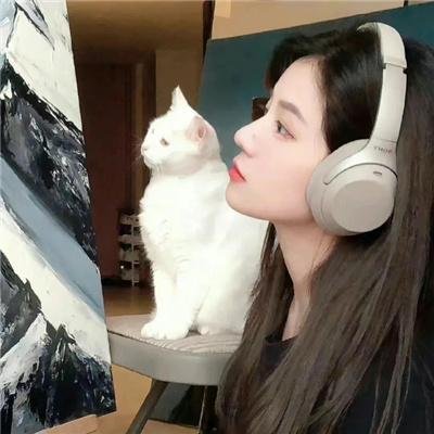 好人、巴特与洛基