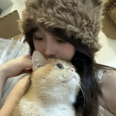 盗贼生涯